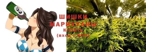 ГАЛЛЮЦИНОГЕННЫЕ ГРИБЫ Заводоуковск