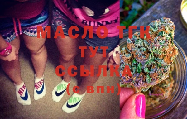 мдпв Новозыбков