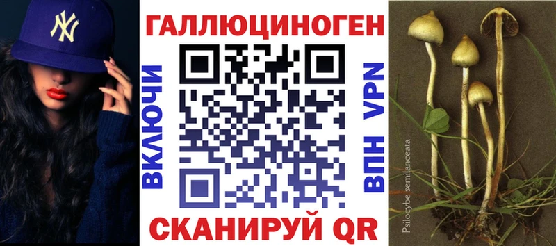 Псилоцибиновые грибы Psilocybe Никольск
